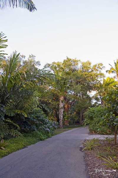 20080424_192952 D3 P.jpg - Fairchild Garden